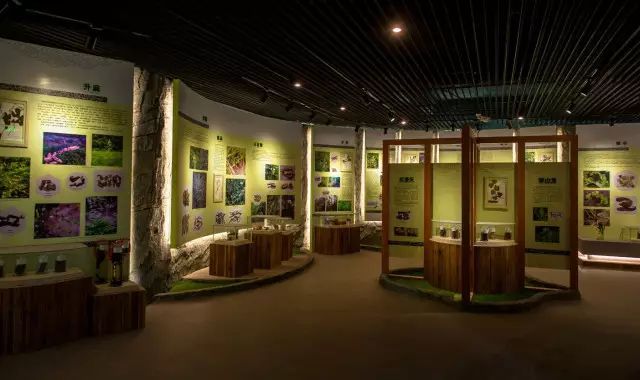 奇妙博物館丨長春有個(gè)中醫(yī)藥博物館,你知道嗎?