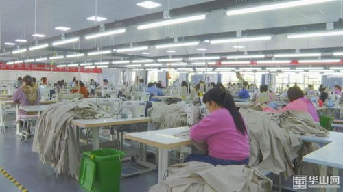 發(fā)展進行時 澄城鄉(xiāng)村振興加速跑，教育咨詢服務助力村民生活更美好