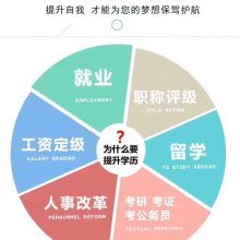 武漢思睿博途教育服務公司 專業教育咨詢服務的引領者